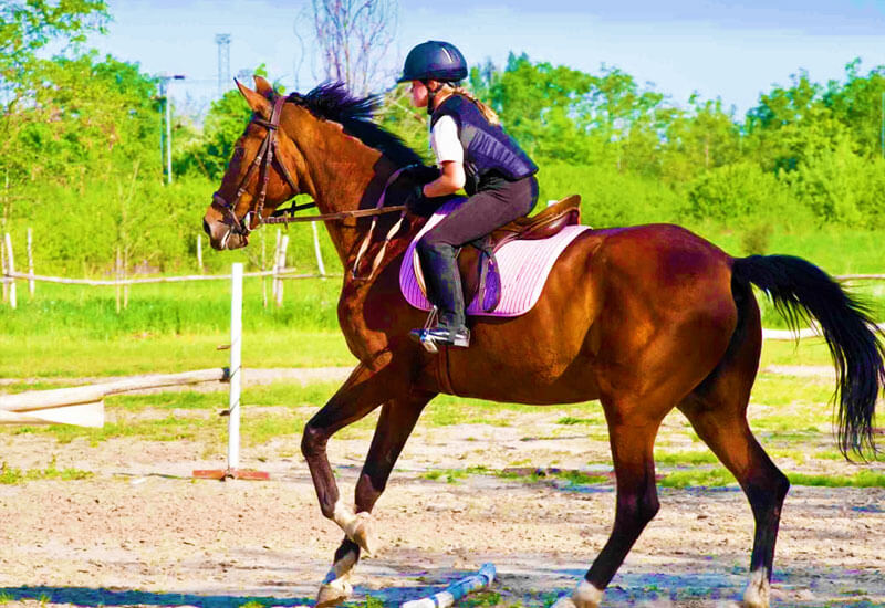 Horse Riding