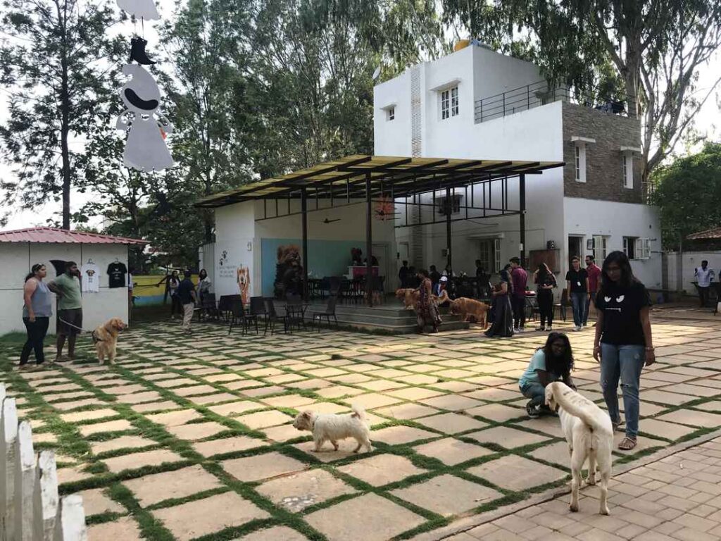 TherPup Cafe